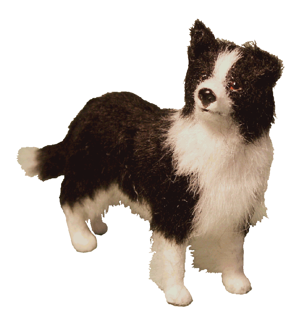 Border Collie for the dolls house
