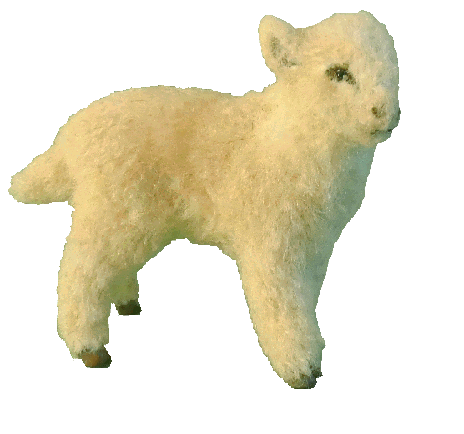Lamb for the dolls house