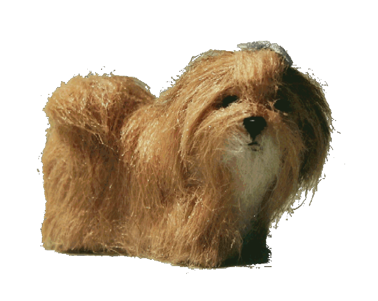 Lhasa Apso for the dolls house