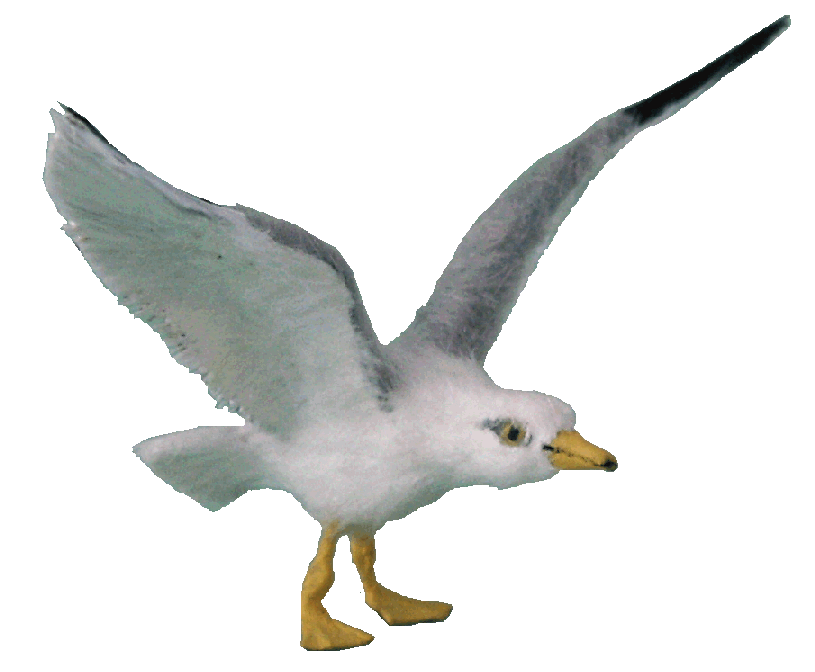 Seagull for the dolls house