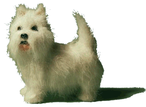 Westie for the dolls house
