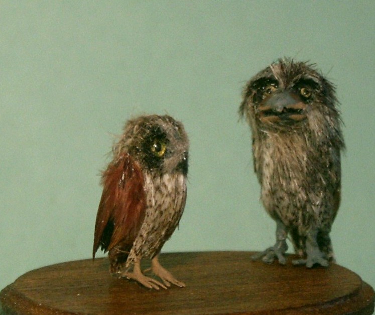 Dolls house owls