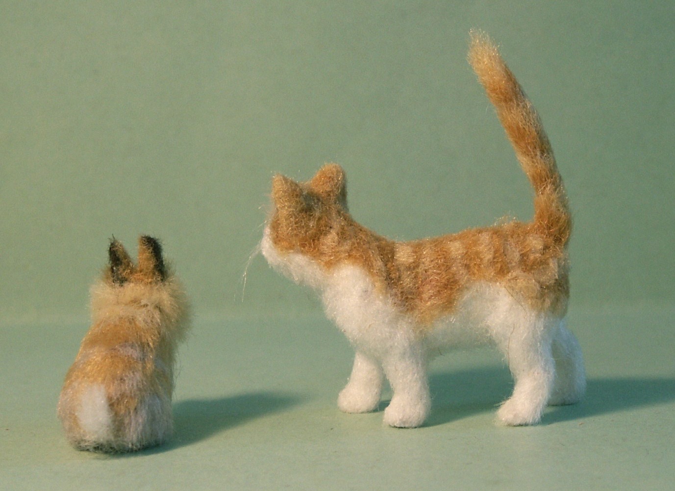 Dolls house cat