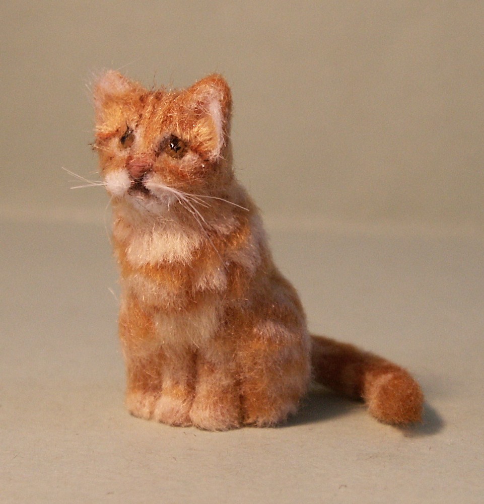 Dolls house cat