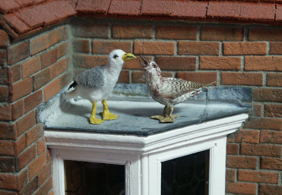 Dolls house birds