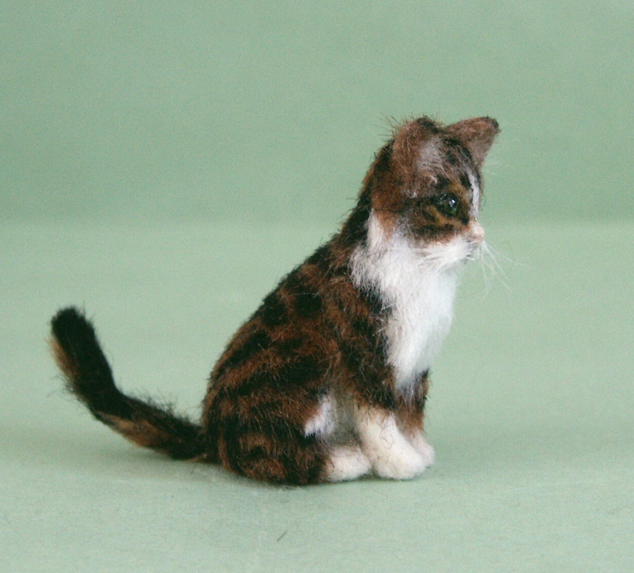 Dolls house cat