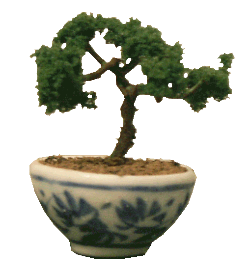 Bonsai tree for the dolls house