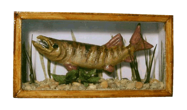 Stuffed pike for the dolls house