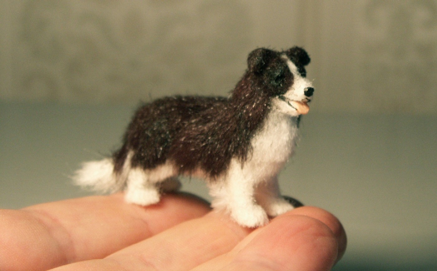 24th scale border collie for the dolls house